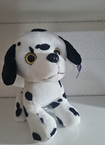 Dalmaçyalı köpek 