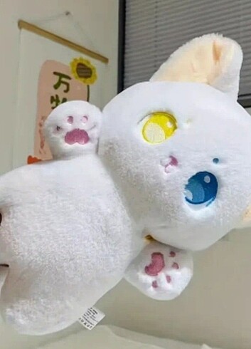 Renkli kedi