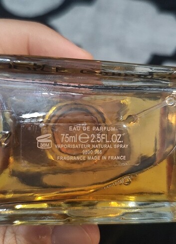 Beden Renk Dolce & Gabbana bayan parfümü 75ml