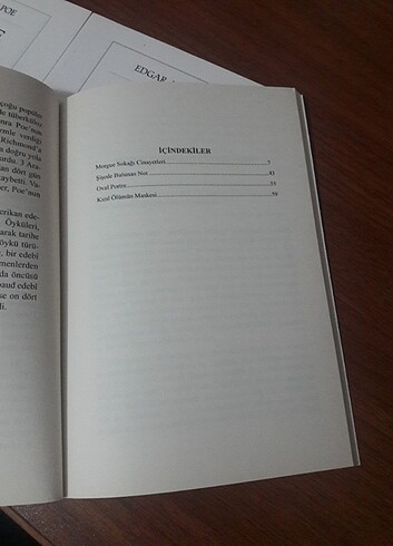  Beden Renk Edgar Allan Poe kitapları