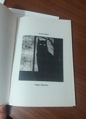  Beden Edgar Allan Poe kitapları