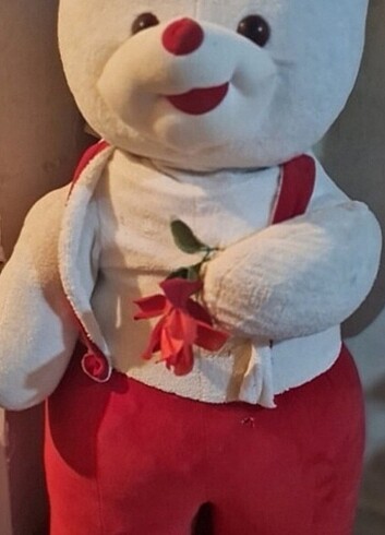 Büyük boy ayı 