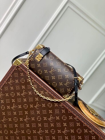 Louis Vuitton????