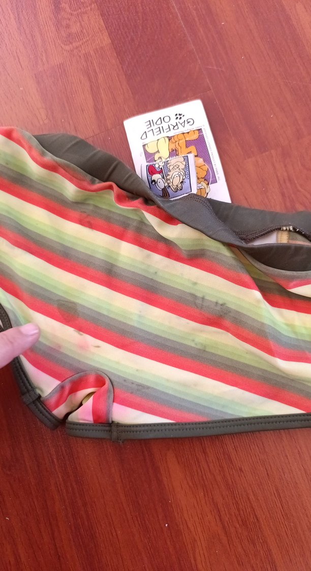 Garfield & Odie Baskılı Çocuk İç Çamaşırı - Görsel 3