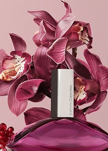 Beden Calvin Klein euphoria edp 100 ml women