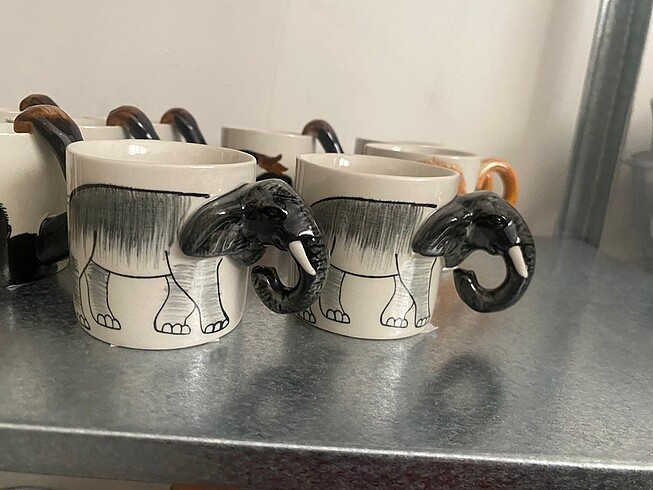 Mudo wild fincan fil