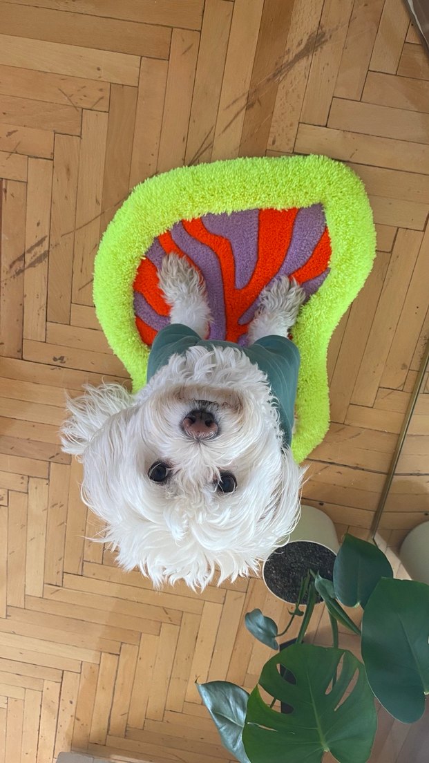 Renkli tufting pet yatağı - Görsel 5