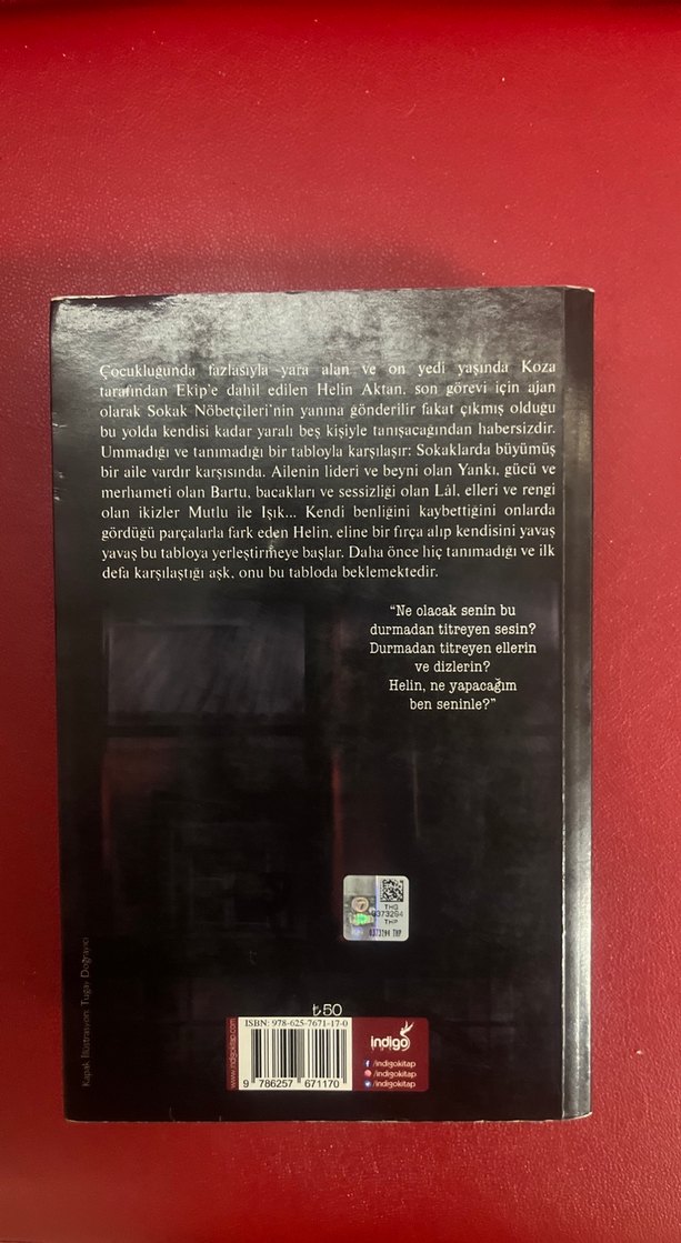 Sokak Nöbetçileri - Aslı Arslan - Görsel 2