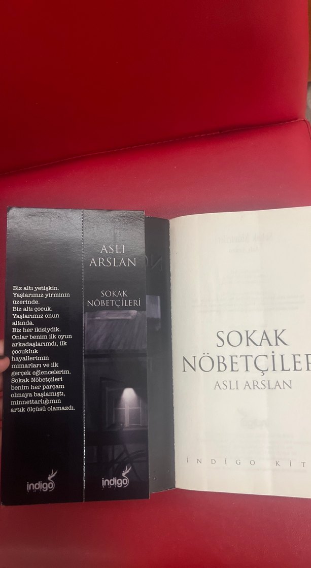 Sokak Nöbetçileri - Aslı Arslan - Görsel 3