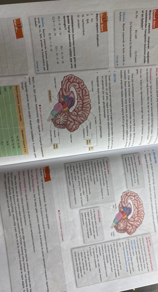 11. Sınıf (Ayt Sistemler) Biyotik Yayınları Konu Anlatım Föyleri - Görsel 2