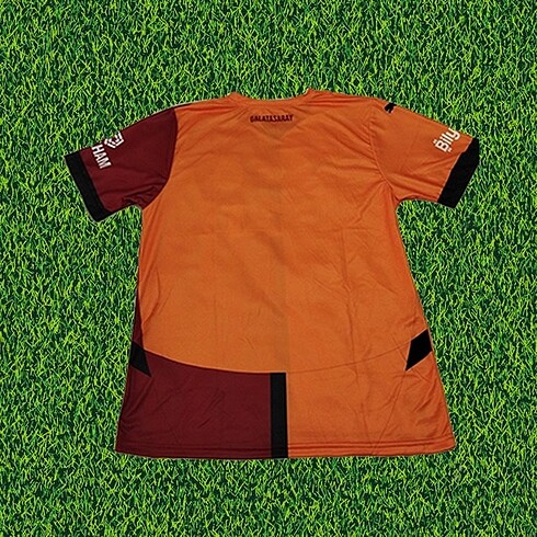 Diğer Galatasaray Forması 24/25