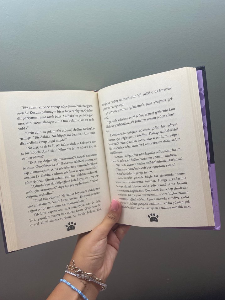 Meraklı Kediler Kulübü - Kayıp Hayvanların Peşinde - Görsel 3