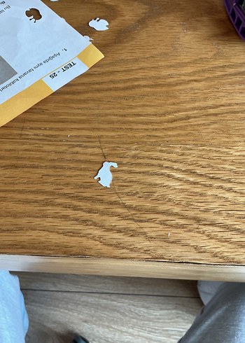 Pastel Renkli Masaüstü Delgeç Seti - Görsel 4