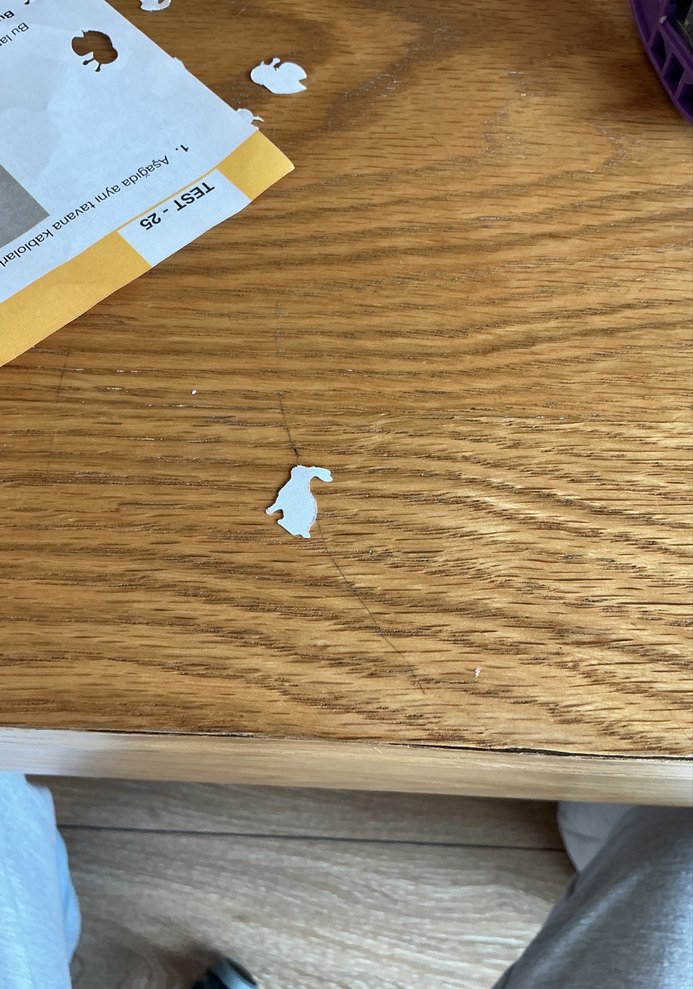 Pastel Renkli Masaüstü Delgeç Seti - Görsel 4