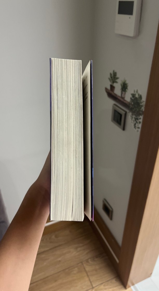 No. 26 - Beyza Alkoç - Görsel 2