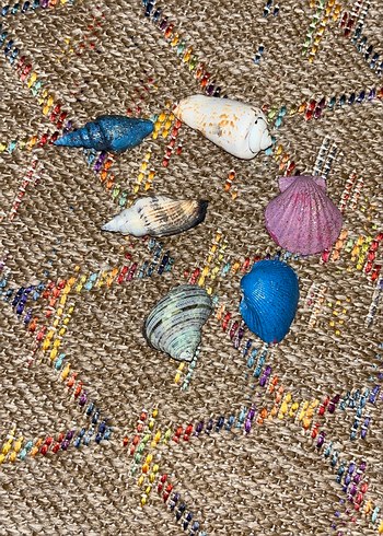 Deniz kabukları altı tane üç tanesi simli boyalı - Görsel 8