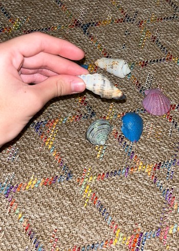 Deniz kabukları altı tane üç tanesi simli boyalı - Görsel 7