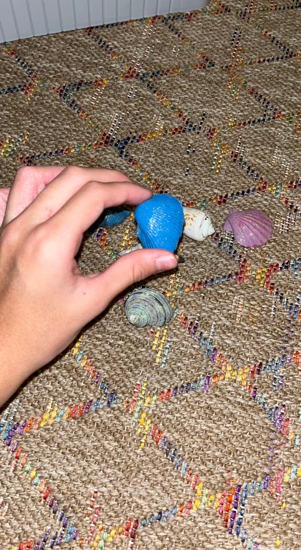 Deniz kabukları altı tane üç tanesi simli boyalı - Görsel 3