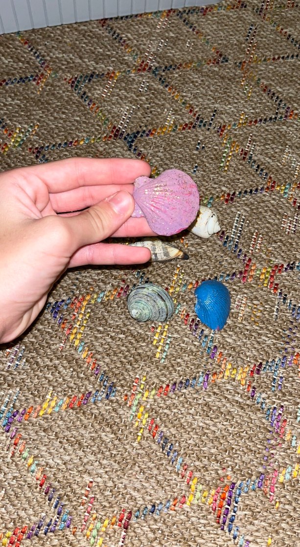 Deniz kabukları altı tane üç tanesi simli boyalı - Görsel 4