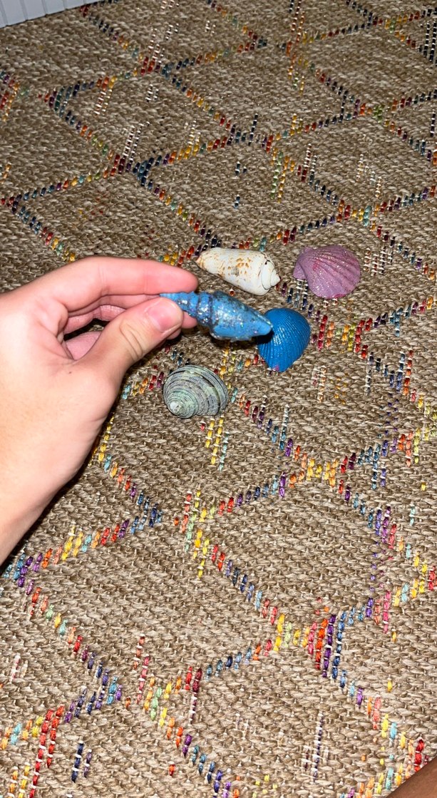 Deniz kabukları altı tane üç tanesi simli boyalı - Görsel 2