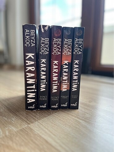 Beyza Alkoç ? Karantina Serisi 5 Kitap (Tam Set, Temiz) -indigo  - Görsel 2