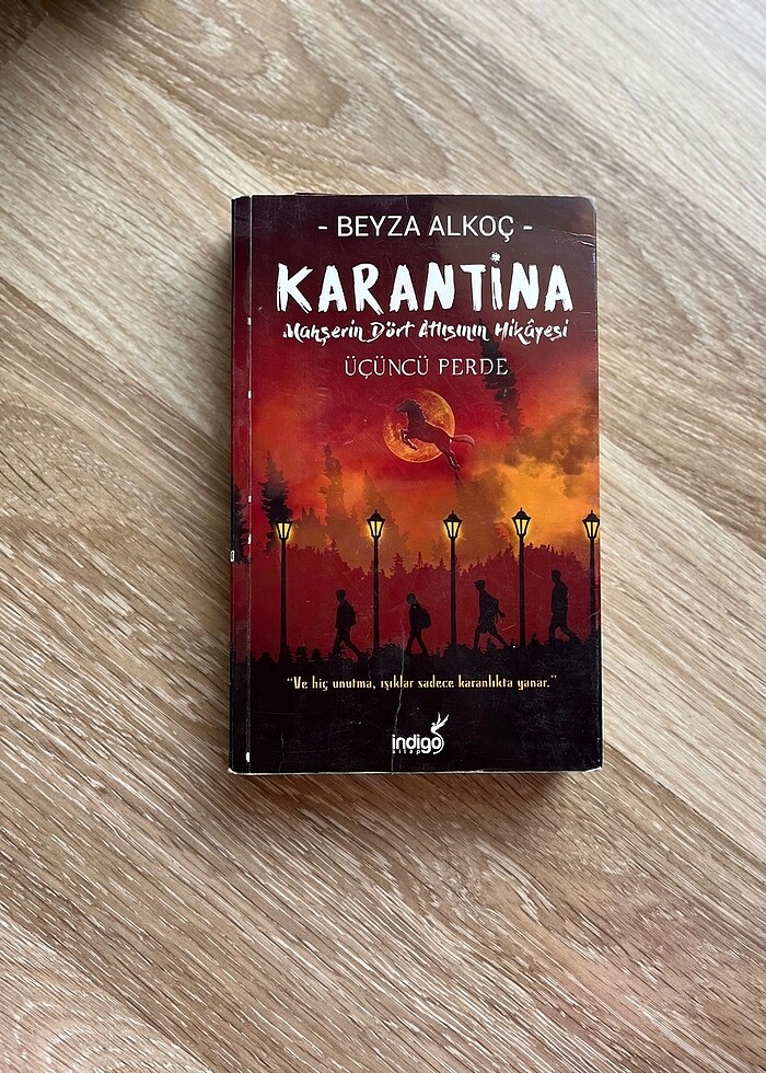 Beyza Alkoç ? Karantina Serisi 5 Kitap (Tam Set, Temiz) -indigo  - Görsel 5