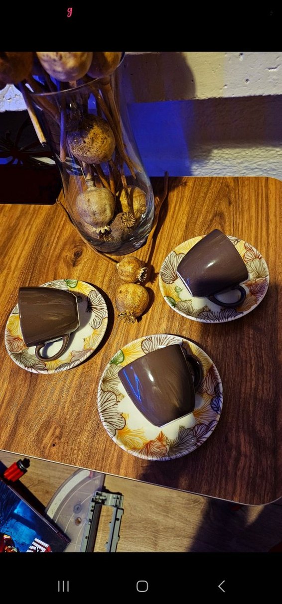 Kahverengi Porselen Fincan ve Tabak Seti - Görsel 2