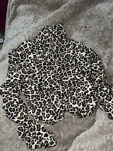 Leopar crop
