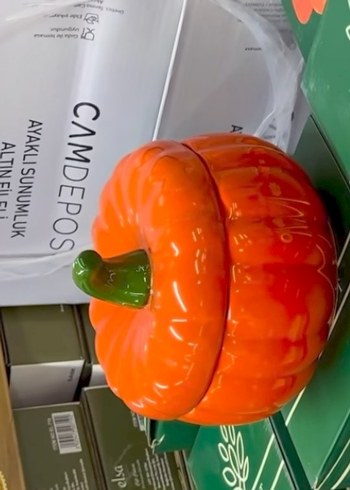 Turuncu Kabak Şeklinde Saklama Kabı - Görsel 2