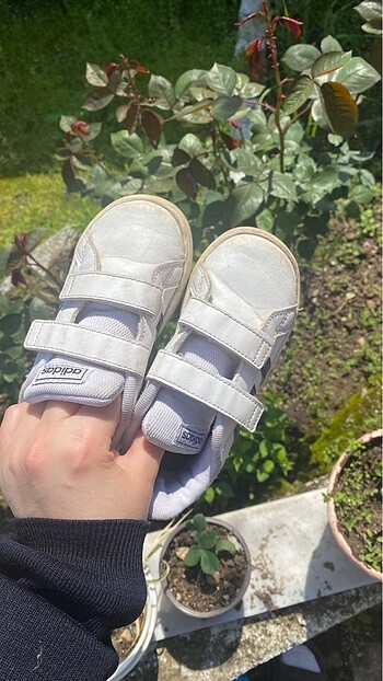 Adidas Adidas spor ayakkabısı