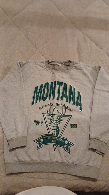Sweatshirt 