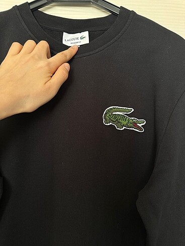 tek beden Beden Lacoste erkek sweat