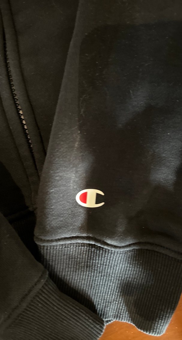 Champion M hırka - Görsel 3