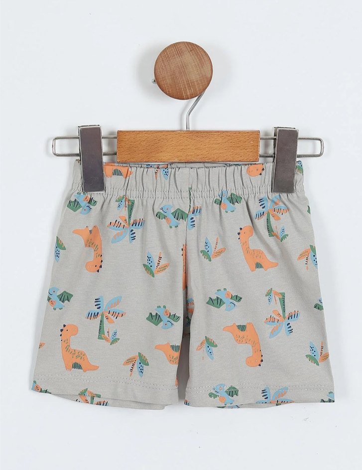 Bebek Erkek Gri Mavi Dinozor Desenli Takım - Görsel 2