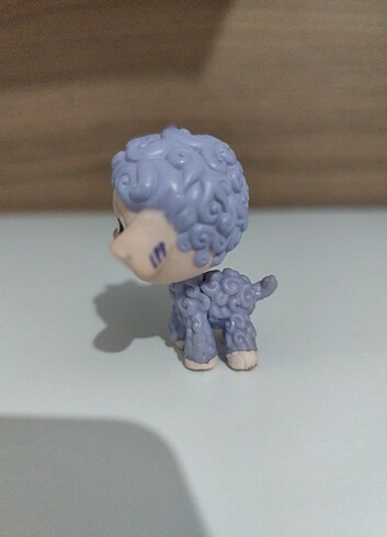 Lps kuzu miniş :3