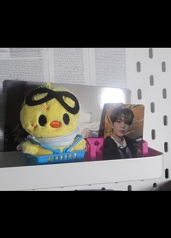 Beden Renk seungmin pc