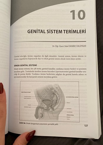 Mesleki ve Tıbbi Terminoloji Kitabı - Görsel 3