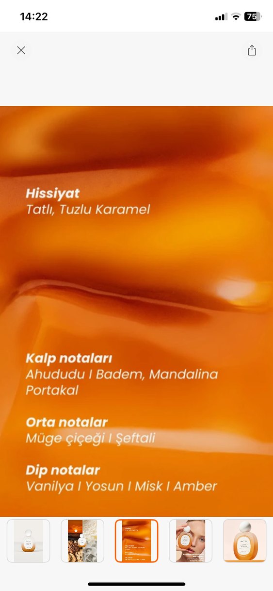 Matsu Salted Spirit Kadın Parfümü - Görsel 3