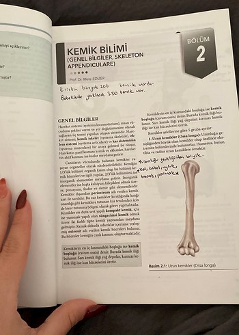 Sağlık Bilimleri için Resimli Temel Anatomi - Görsel 4