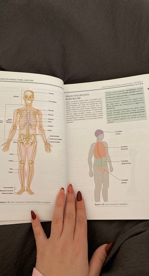Sağlık Bilimleri için Resimli Temel Anatomi - Görsel 3