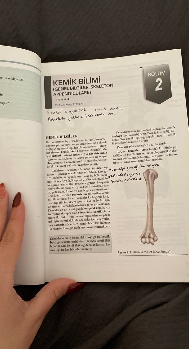 Sağlık Bilimleri için Resimli Temel Anatomi - Görsel 4