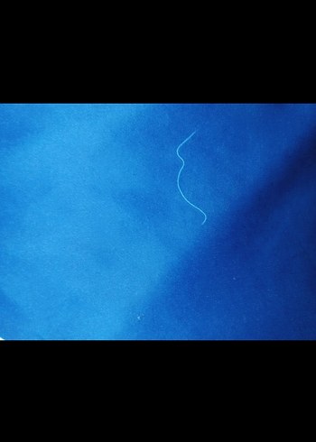 Erkek Lacivert Kısa Kollu Fit Forma - Görsel 3