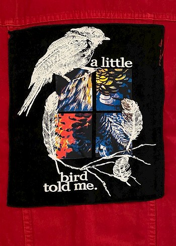 Kırmızı Düğmeli Kolsuz Denim Ceket - Görsel 5