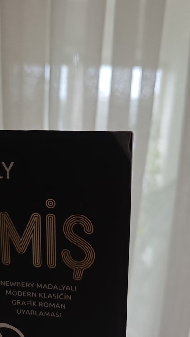 Seçilmiş - Grafik Roman Uyarlaması - Görsel 2