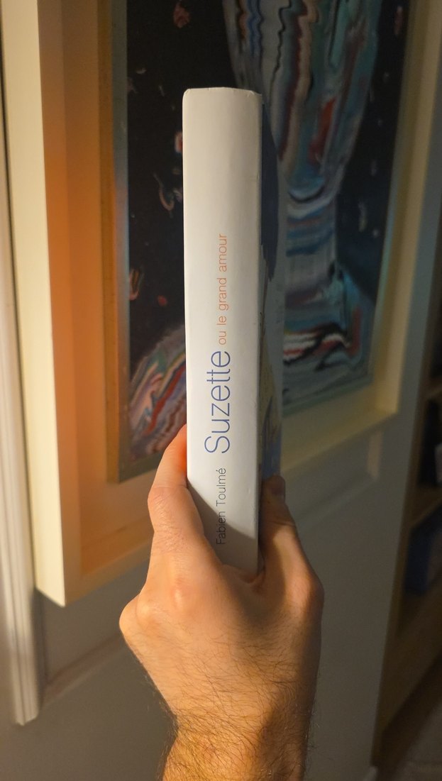 Suzette ou le grand amour - Fabien Toulmé - Görsel 2