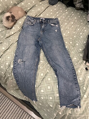 Kot pantolon