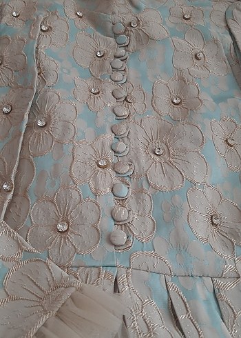 Bej Nakışlı Uzun Kollu Düğmeli Kadın Elbise - Görsel 9