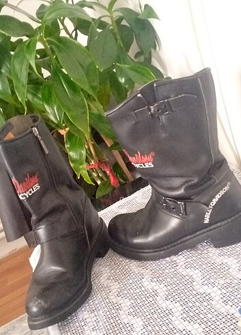 Motorcu botu - Görsel 2