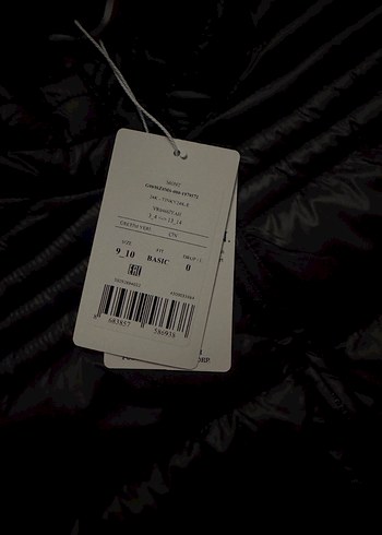 Us Polo Assn Fermuarlı Siyah Erkek Çocuk  Mont - Görsel 2