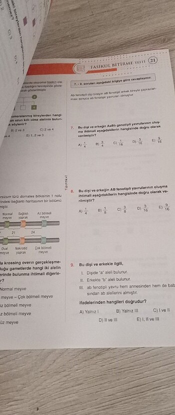 Beden 10.sınıf biyoloji test kitabı
